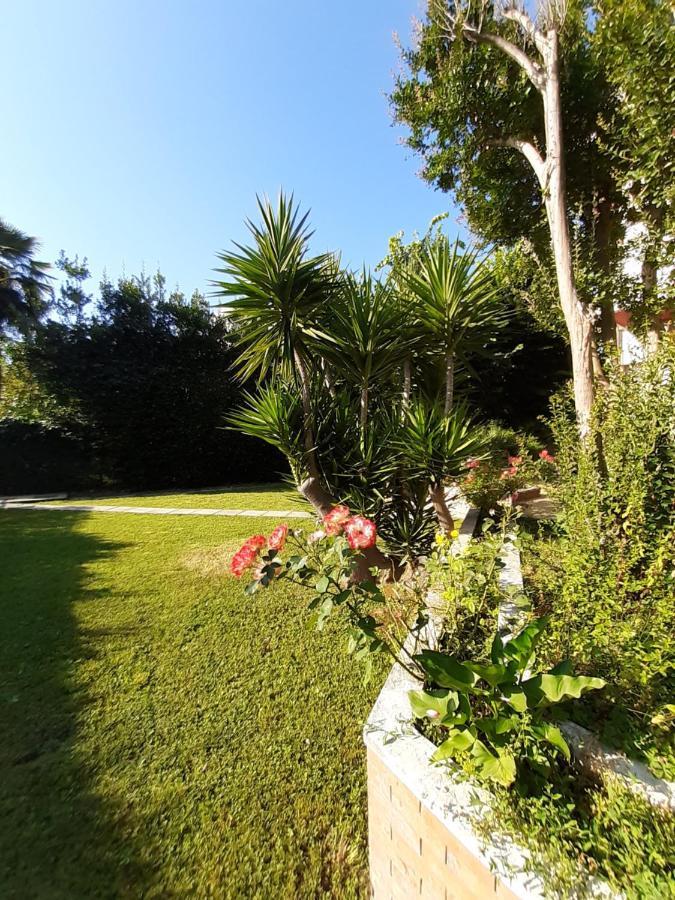 Bed and Breakfast La Gran Dama Roseto Degli Abruzzi Zewnętrze zdjęcie